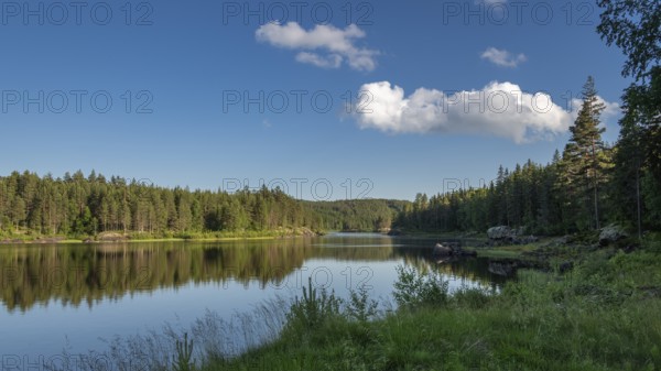 Quiet forest lake, Eidsvoll, Akershus, Norway
