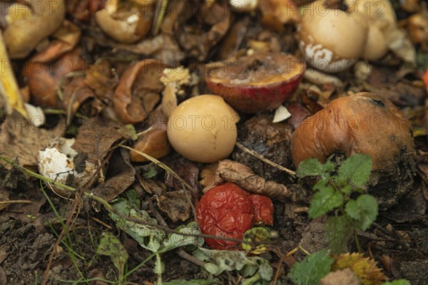 Compost pile made of organic food, leaves, vegetable and fruit Waste mix, Zero waste and Eco friendly Recycling concept