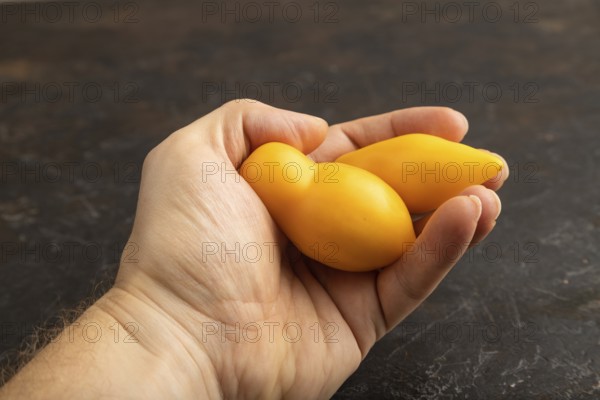 Yellow tomatoes with hand on black concrete background. Side view, copy space. healthy food, vegetable, minimalism. hold