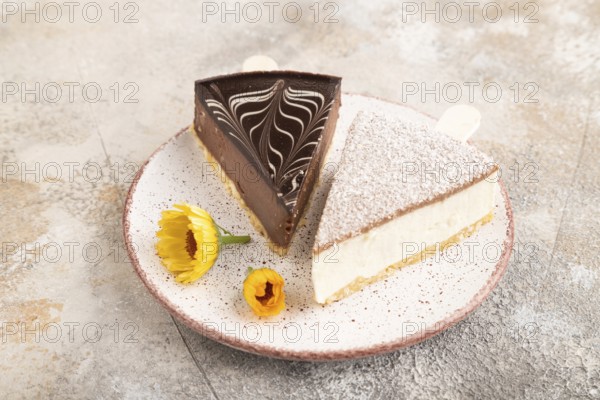 Chocolate and Vanilla Cake pops Marshmallow on brown concrete background. side view, close up