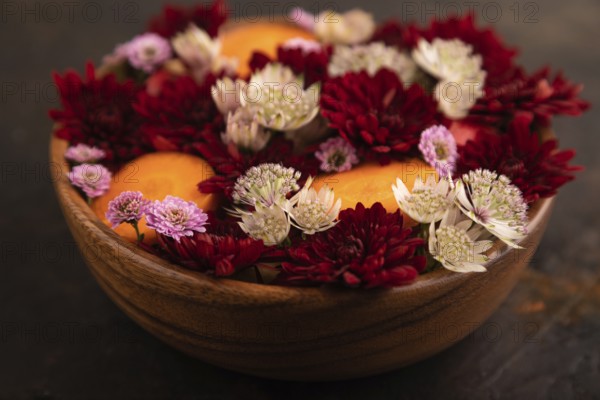 Wooden bowl with carrot slices and red Chrysanthemum flowers, Astrantia flowers, flower salad on black concrete background, side view, close up, minimalism, selective focus
