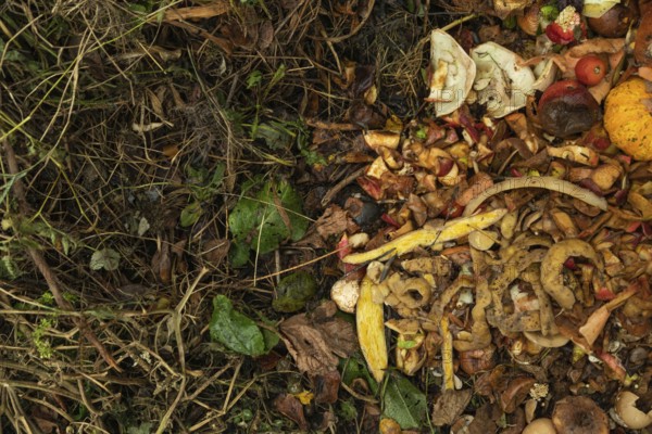 Compost pile made of organic food, leaves, vegetable and fruit Waste mix, Zero waste and Eco friendly Recycling concept