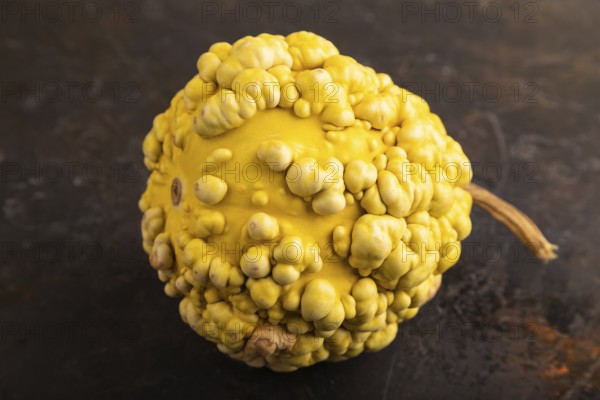 Decorative orange Pumpkin with tumors on black concrete background, side view, close up, minimalism