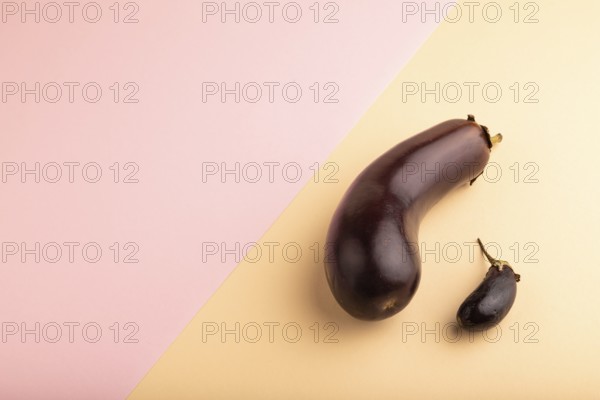 Two Eggplants big and small on pink and orange pastel paper background, side view, copy space, minimalism