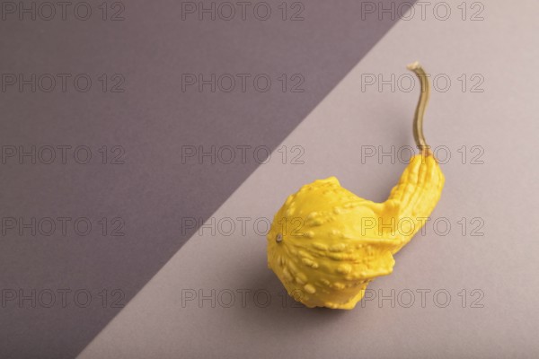 Decorative orange Pumpkin on beige and gray pastel paper background, side view, copy space, minimalism