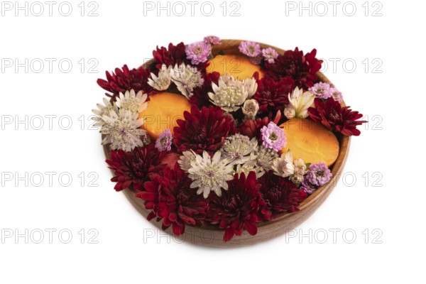 Wooden bowl with carrot slices and red Chrysanthemum flowers, Astrantia flowers, flower salad isolated on white background, side view, minimalism, close up