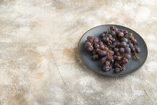 Bunches of rotten and Dry Red wine grapes on blue plate on brown concrete background, harvest, decay. Side view, copy space