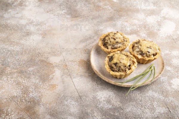Tartlets with meat and cheese on brown concrete background. side view, copy space