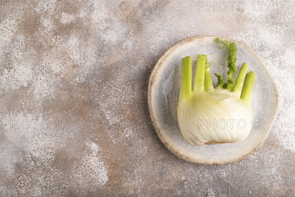 Fresh Fennel bulb on blue plate on brown concrete background, top view, flat lay, copy space, minimalism