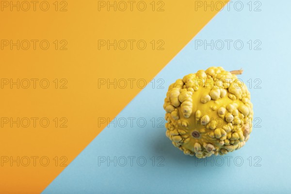 Decorative orange Pumpkin with tumors on blue and orange pastel paper background, side view, copy space, minimalism