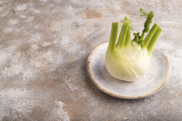 Fresh Fennel bulb on blue plate on brown concrete background, side view, copy space, minimalism