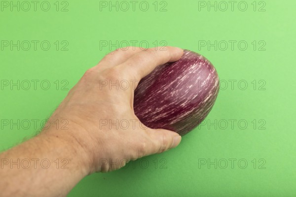 Hand holding Purple eggplant with white stripes on green pastel background. Top view, flat lay, copy space. Tropical, healthy food, vegetable, minimalism