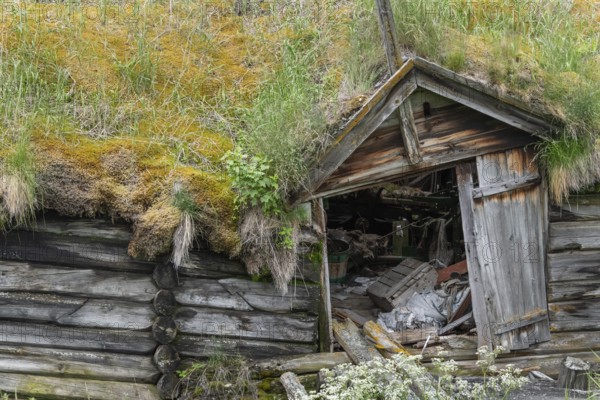Abandoned, dilapidated wooden hut with grass roof in a green landscape against a mountain backdrop, Gudbrandsdalen or Gudbrandsdalen Valley, Norway
