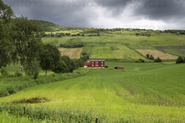 Bauernhof inmitten von Felder, üppiges Budsjord, Dovre, Gudbrandsdalen oder Gudbrandstal, Norwegen