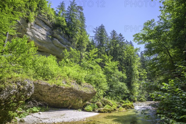 Wanderung entlang der Krummen Steyrling, Molln, Oberösterreich, Österreich