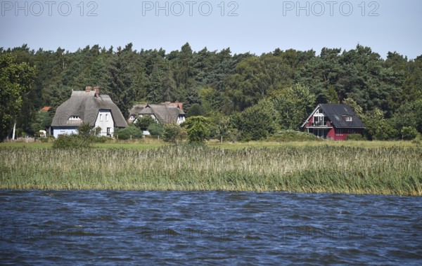 Häuser mit Reetdach am Borner Bodden auf dem Darß, Mecklenburg-Vorpommern, Deutschland