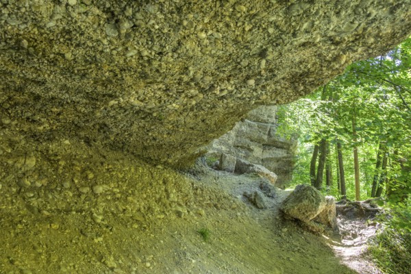 Konglomeratfelsen und Wanderweg im Naturschutzgebiet Steyr Fluss, Molln, Oberösterreich, Österreich