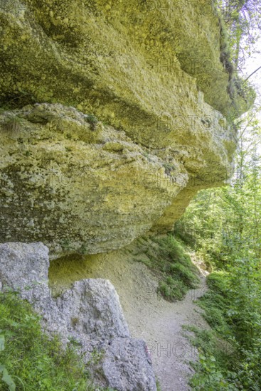 Konglomeratfelsen und Wanderweg im Naturschutzgebiet Steyr Fluss, Molln, Oberösterreich, Österreich