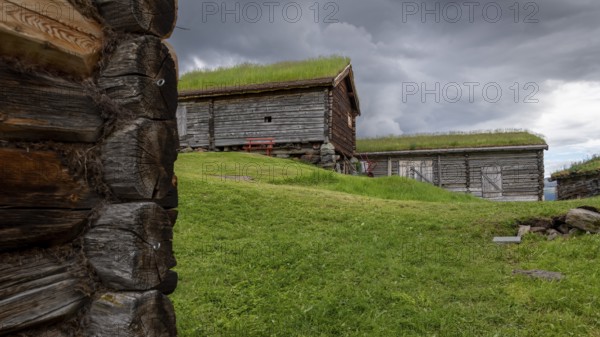 Holzhütten mit Grasdächern, historischer Bauernhof und Pilgerunterkunft Budsjord, Dovre, Pilgerweg Olavsweg oder Olavsleden, Gudbrandsdalen oder Gudbrandstal, Norwegen