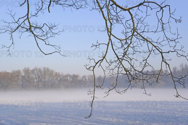 Winterlandschaft, aufsteigender Bodennebel im Licht der Morgensonne, Nordrhein-Westfalen, Deutschland