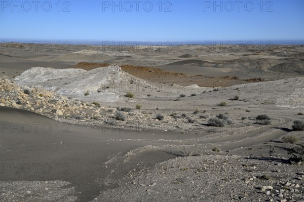 Wüstenlandschaft bei Pomona, im Hintergrund der Atlantik, Diamentensperrgebiet, bei Lüderitz, Region Karas, Namibia