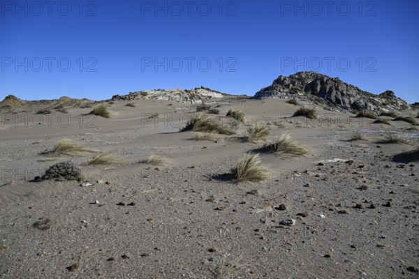 Wüstenlandschaft bei Pomona, Diamentensperrgebiet, bei Lüderitz, Region Karas, Namibia
