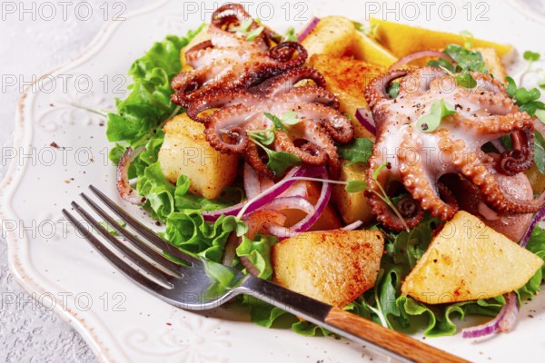 Grilled octopus with baked potatoes and fresh herbs, on a decorative light plate, homemade, no people