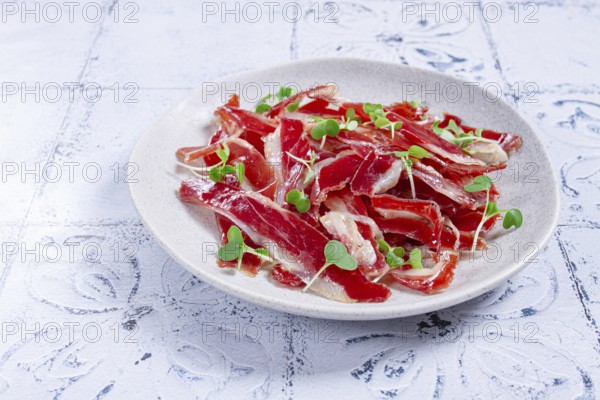 Ham of duck breast, dried duck fillet, with microgreens, plate, on a tiled table