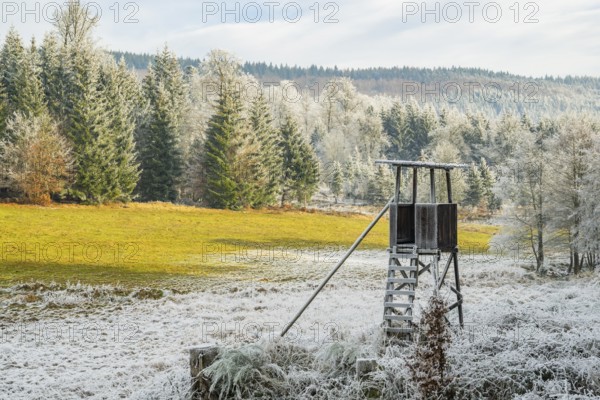 Hunting pulpit on a meadow in a valley surrounded by a mixed forest with norway spruce (Picea abies) and European beech (Fagus sylvatica) white from roarfrost, on a sunny day in winter, Bavaria, Germany
