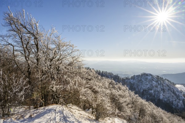 View over the hills and valleys from the mountain with hoarfrost on the branches in winter, Vápec, Horná Poruba, Slovakia