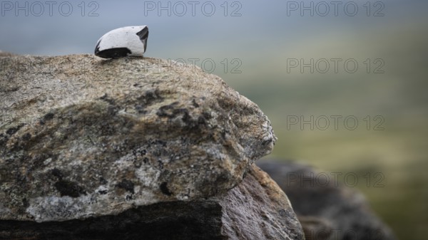 Von einem Pilger abgelegter Stein, Steinpyramide, Allmannrøysa, Pilgerweg Olavsweg, Olavsleden oder Pilgrimsleden, Dovrefjell, Norwegen