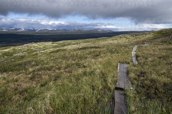 Schmaler Wanderweg durch Holzbohlen befestigt führt durch sumpfige, im Hintergrund bergige Landschaft, tiefhängende Wolken, Pilgerweg Olavsweg, Olavsleden oder Pilgrimsleden, Dovrefjell, Norwegen