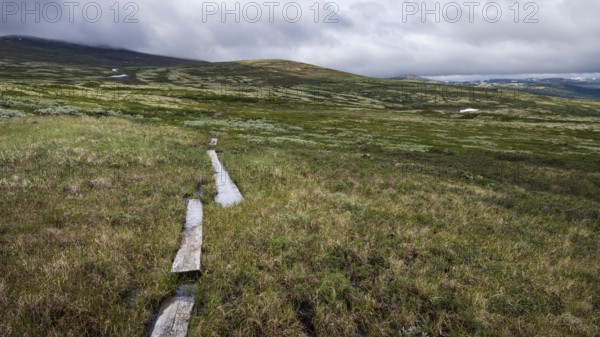 Schmaler Wanderweg durch Holzplanken befestigt führt durch sumpfige, im Hintergrund bergige Landschaft, tiefhängende Wolken, Pilgerweg Olavsweg, Olavsleden oder Pilgrimsleden, Dovrefjell, Norwegen