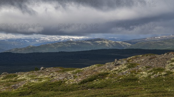 Weite, baumlose Gebirgslandschaft, tiefhängende Wolken, Olavsweg, Olavsleden oder Pilgrimsleden, Dovrefjell, Norwegen