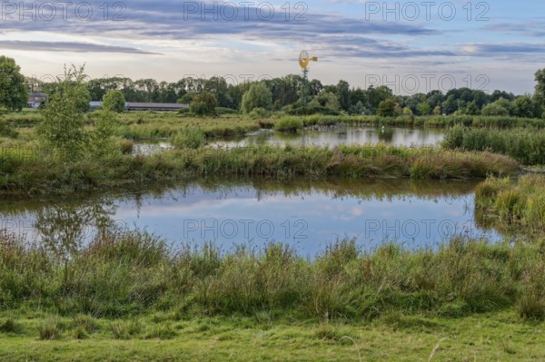 Landschaft und Gewässer im Naturschutzgebiet Die Reit im Hamburger Ortsteil Reitbrook, im Hintergrund ein Windrad. Hamburg, Deutschland