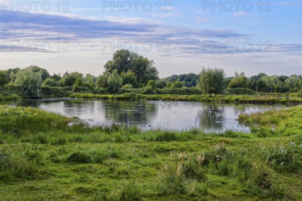 Landschaft und See im Naturschutzgebiet Die Reit im Hamburger Ortsteil Reitbrook. Hamburg, Deutschland