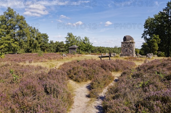 Landschaft am Hermann Löns Denkmal am Wietzer Berg in der Lüneburger Heide während der Heideblüte. Südheide, Niedersachsen, Deutschland