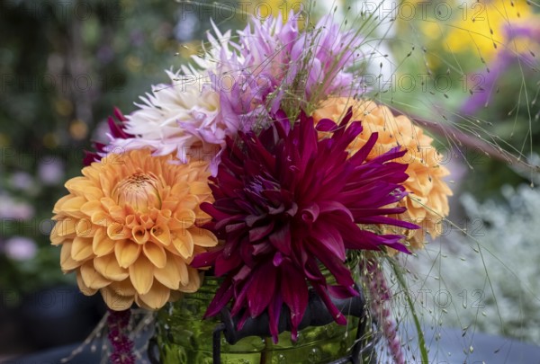 Kleiner Blumenstrauss mit Dahlien, Nordrhein-Westfalen, Deutschland