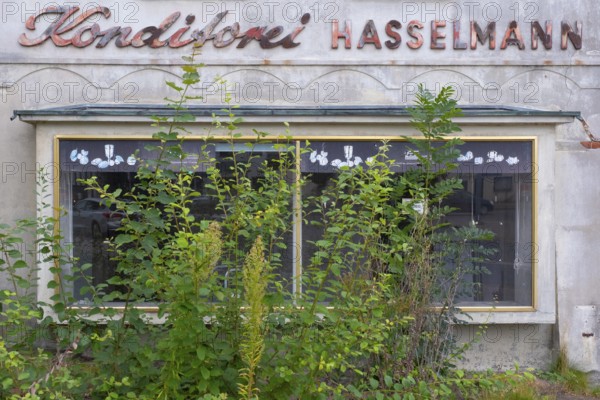 View of an overgrown shop window of an abandoned bakery, Barrien, Syke, Diepholz, Lower Saxony