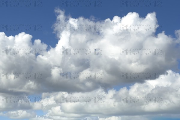 White light-coloured cumulus clouds Cumulus clouds Dense water clouds under a blue sky, international