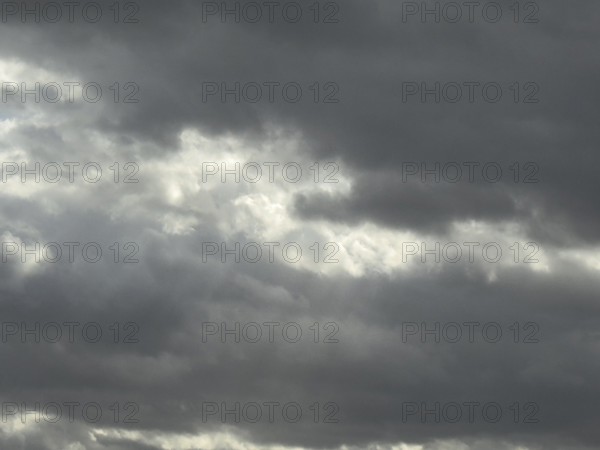 Extensive field of stratocumulus clouds, international