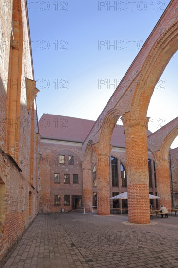 Interior view of the St Bartholomäi church ruins, view upwards, open, archways, columns, pillars, brick church, Zerbst, Fläming, Saxony-Anhalt, Germany