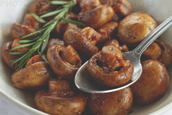 Fried mushrooms, with spices, in soy sauce, vegetarian food, homemade, no people