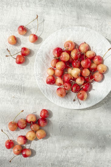 Yellow cherries on a white platter, scattered on the table, natural light, top view