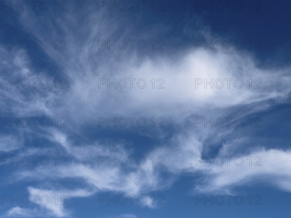 Feather clouds Veil clouds Fibrous cirrus clouds Cirrus clouds under a blue sky, international