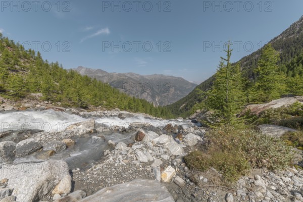 A calm river cascades over smooth stones, surrounded by a lively forest and majestic mountains in the distance. The peaceful atmosphere invites you to relax and admire nature. Grachen, Viege, Valais, Swiss