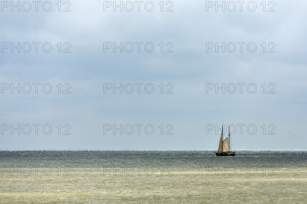Sailing ship on the Wadden Sea, Texel, West Frisian Islands, North Holland, Netherlands
