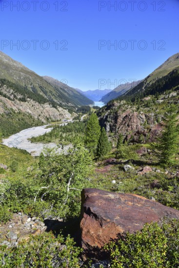 Hiking area above the Faggenbach in the Kaunertal, in the area of the Gepatsch Glacier in the Ötztal Alps, Tyrol, Austria