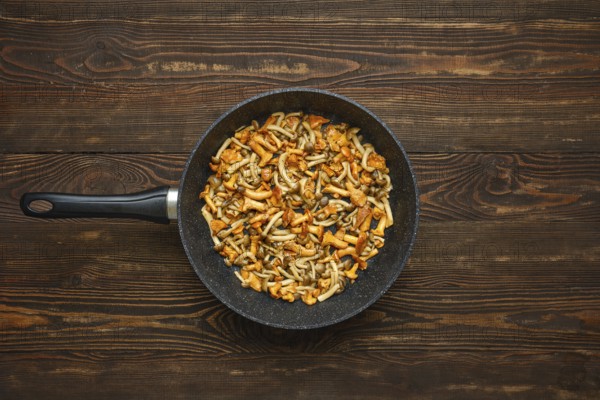 A vibrant mix of fried chanterelles and honey mushrooms in a pan on a wooden table. The colourful dish showcases a blend of textures and flavours of forest mushrooms