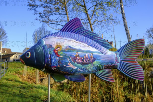 Morning atmosphere, fog at the Fischhof, Fischhofpark, Tirschenreuth, Upper Palatinate, Bavaria, Germany